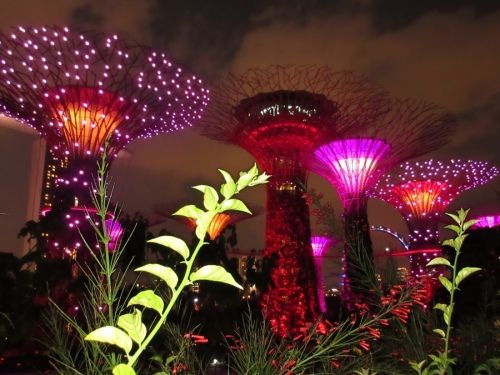 2월 해외여행지 추천 싱가폴 가든바이더베이