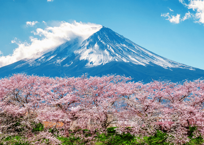3월 해외여행지 추천 일본 벚꽃여행